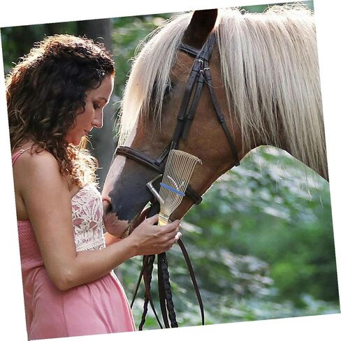 Luxshiny 2pcs Livestock Wool Brush and Steel Grooming Comb for Equine and Cattle – 23cm Small Yellow Shedding Tool for Thick Coat Dematting and Animal Cleaning in Kuwait