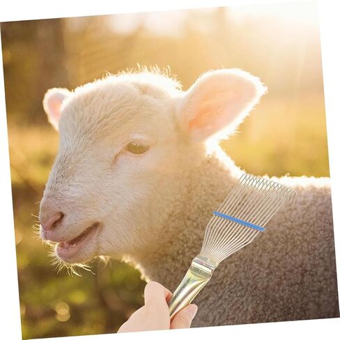 Holibanna 2pcs Livestock Sheepskin Wool Rake Comb Set with Steel Teeth for Sheep and Cattle Grooming, 23cm Small Yellow Wool Cleaning Tool for Dematting and Shearing Maintenance in Kuwait