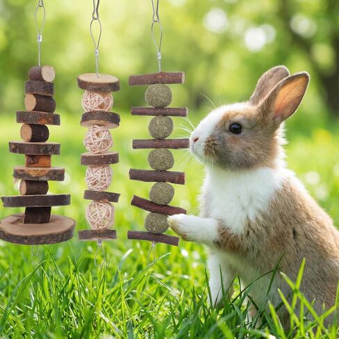 7 Pcs Bunny Chew Toys, Natural Apple Wood Hanging Rabbit Chew Toy Treats for Guinea Pigs Hamsters Chinchilla Ferret Rats, Improve Small Animal Dental Health for Teeth Grinding in Kuwait
