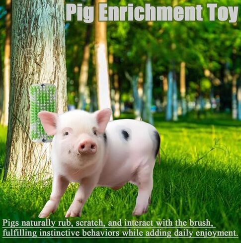 4PCS Pig Enrichment Toy,2-in-1 Self-Grooming and Scratch Brush for Mini Pigs,Reduces Stress,Mini Pigs Self Cleaning Slicker Brushes,Green & White Diamond Pattern,Easy Install for Pens Barns or Yards in Kuwait