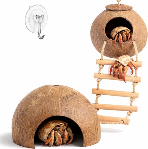 Hermit Crab Coconut Hideout Climbing Toys, Hermit Crab Coconut Shell Hut and Hideout with Ladder, Climbing Ladder Bridge Ramp Hammock Toys, Small Animals Tank Accessories (Coconut Ladder) in Kuwait