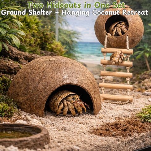 Hermit Crab Coconut Hideout Climbing Toys, Hermit Crab Coconut Shell Hut and Hideout with Ladder, Climbing Ladder Bridge Ramp Hammock Toys, Small Animals Tank Accessories (Coconut Ladder) in Kuwait