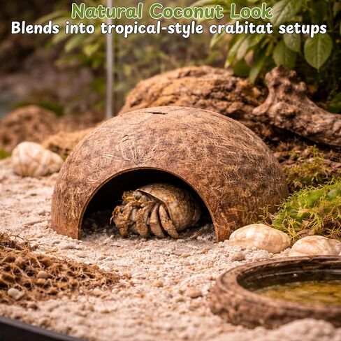 Hermit Crab Coconut Hideout Climbing Toys, Hermit Crab Coconut Shell Hut and Hideout with Ladder, Climbing Ladder Bridge Ramp Hammock Toys, Small Animals Tank Accessories (Coconut Ladder) in Kuwait