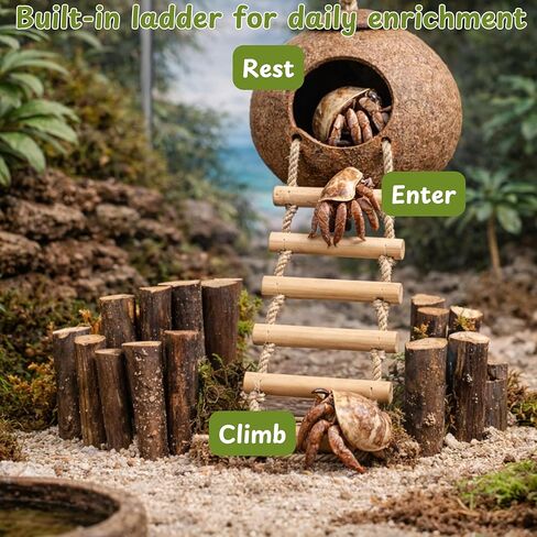 Hermit Crab Coconut Hideout Climbing Toys, Hermit Crab Coconut Shell Hut and Hideout with Ladder, Climbing Ladder Bridge Ramp Hammock Toys, Small Animals Tank Accessories (Coconut Ladder) in Kuwait