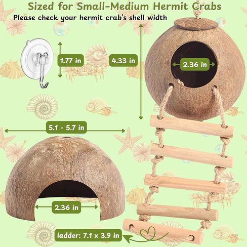 Hermit Crab Coconut Hideout Climbing Toys, Hermit Crab Coconut Shell Hut and Hideout with Ladder, Climbing Ladder Bridge Ramp Hammock Toys, Small Animals Tank Accessories (Coconut Ladder) in Kuwait