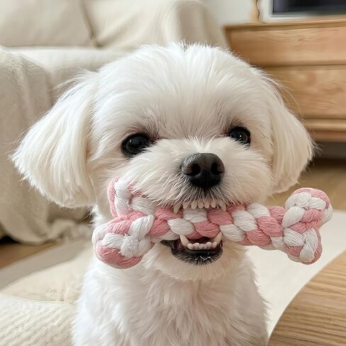 Dog Rope Toys Set with Bone-Shaped Chew Toy, Durable Cotton Rope Toys for Teething, Training, and Interactive Play for Small to Medium Dogs (Pink & White) in Kuwait