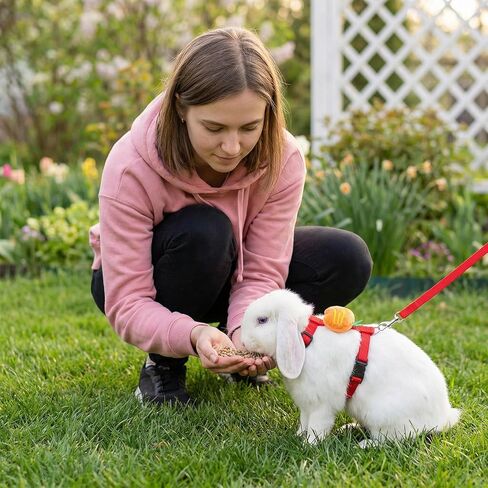 4 Pcs Adjustable Bunny Rabbit Harness and Leash Set Small Pet Cute Vest Harness Leash with Decoration Pets Stuff Bunny Rabbit Harnesses for Small Pets Kitten Puppy Walking Hiking Camping Outdoor in Kuwait