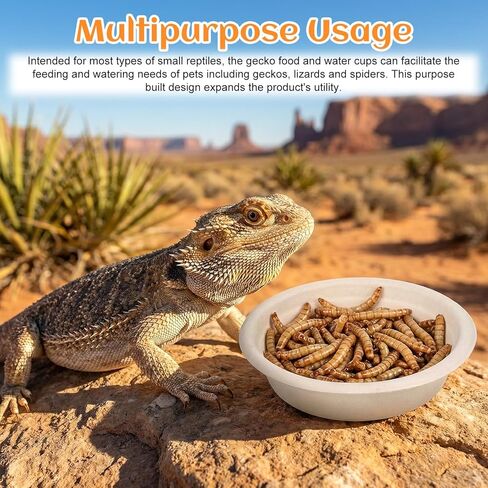 300 Pack 1 Oz Gecko Feeding Cups Food Cups Disposable Paper Bowls Reptile Water Dish for Crested Gecko, Lizards, Snakes, Spiders, Frogs, Hermit Crabs in Kuwait