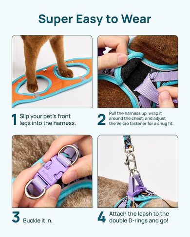 PetThem Upgraded Cat Harness and Leash Set - Step-in Escape Proof Adjustable Cat Harness, Comfortable Soft Lightweight, Reflective Harness for Walking, Travel, Camping (Butterfly Magic, S) in Saudi Arabia