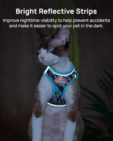 PetThem Upgraded Cat Harness and Leash Set - Step-in Escape Proof Adjustable Cat Harness, Comfortable Soft Lightweight, Reflective Harness for Walking, Travel, Camping (Butterfly Magic, S) in Saudi Arabia