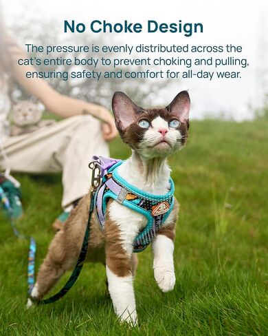 PetThem Upgraded Cat Harness and Leash Set - Step-in Escape Proof Adjustable Cat Harness, Comfortable Soft Lightweight, Reflective Harness for Walking, Travel, Camping (Butterfly Magic, S) in Saudi Arabia