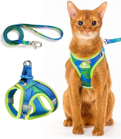 PetThem Upgraded Cat Harness and Leash Set - Step-in Escape Proof Adjustable Cat Harness, Comfortable Soft Lightweight, Reflective Harness for Walking, Travel, Camping (Butterfly Magic, S) in Saudi Arabia