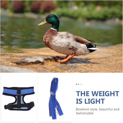 Tofficu Chicken Harness and Hen Leash Breathable Mesh Vest Adjustable Blue S Size Comfortable Walking Strap for Poultry and Small Birds Random Color in Kuwait