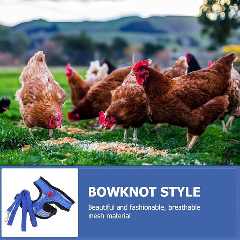 Tofficu Chicken Harness and Hen Leash Breathable Mesh Vest Adjustable Blue S Size Comfortable Walking Strap for Poultry and Small Birds Random Color in Kuwait