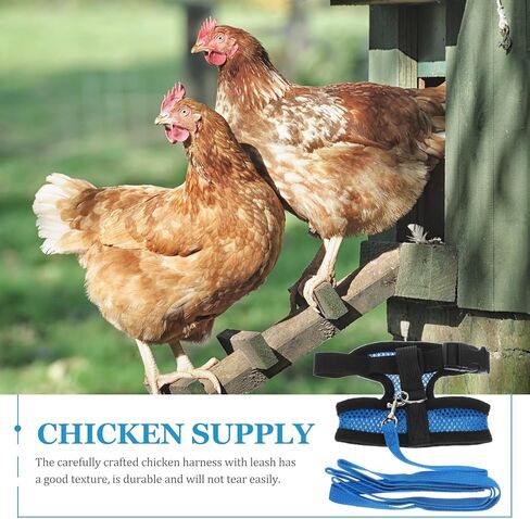 Tofficu Chicken Harness and Hen Leash Breathable Mesh Vest Adjustable Blue S Size Comfortable Walking Strap for Poultry and Small Birds Random Color in Kuwait