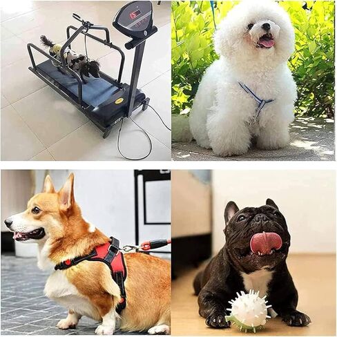 Dog Treadmill,Pet Dog Running Machine, Dog Treadmill for Large Dogs with Display Screen Pacer Indoor Outdoor Running Training Equipment Load in Kuwait