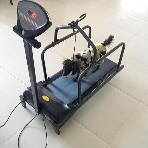 Dog Treadmill,Pet Dog Running Machine, Pet Treadmill Dog for Large Dogs Indoor Outdoor Running Training Equipment with Display Screen in Kuwait
