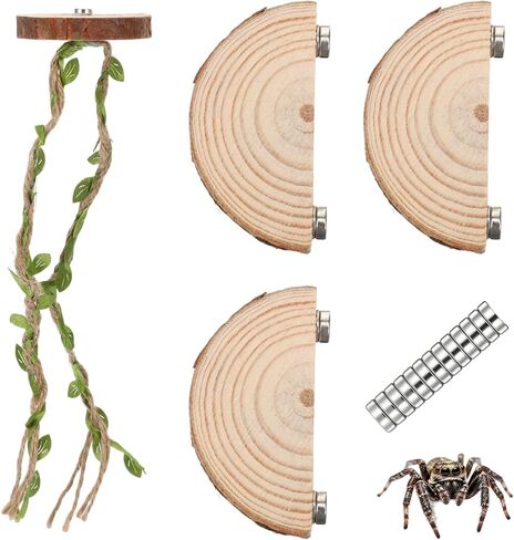 Jumping Spider Enclosure Accessories Kit, Jumping Spider Habitat Accessories, 3 Wood Shelves & 1 Climbing Rope, Web Climbing and Feeding Platforms with Magnets for Small Insects Critters in Kuwait