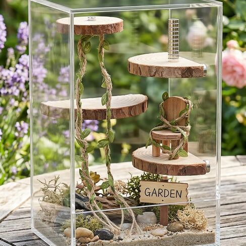 Jumping Spider Enclosure Accessories Kit, Jumping Spider Habitat Accessories, 3 Wood Shelves & 1 Climbing Rope, Web Climbing and Feeding Platforms with Magnets for Small Insects Critters in Kuwait