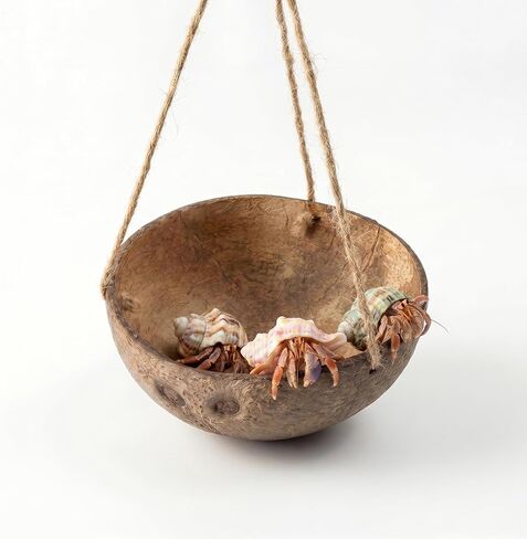 Hermit Crab Hanging Coconut Shell Hideout – Natural Coconut Habitat Decor, Tank Accessories for Hermit Crabs in Kuwait