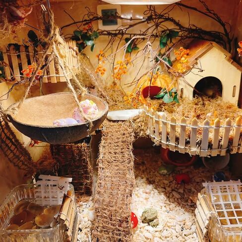 Hermit Crab Hanging Coconut Shell Hideout – Natural Coconut Habitat Decor, Tank Accessories for Hermit Crabs in Kuwait