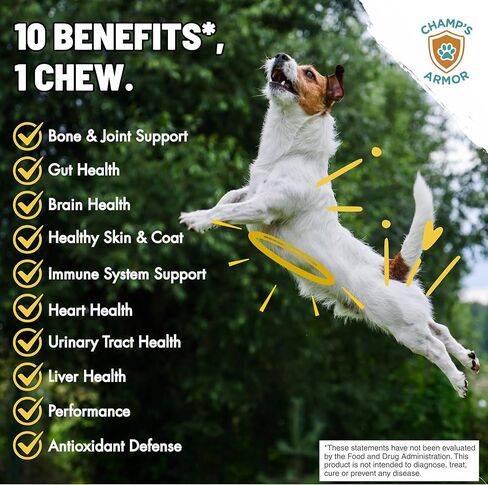 Dog Multivitamin 10-in-1 with Glucosamine - Hip Joint Support, Skin & Coat, Digestive Health, Immune Boost - Salmon Oil, Probiotics, MSM - All Natural Daily Chews for Dogs All Breeds - 120 Count in Kuwait