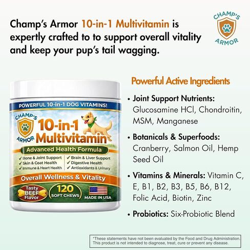 Dog Multivitamin 10-in-1 with Glucosamine - Hip Joint Support, Skin & Coat, Digestive Health, Immune Boost - Salmon Oil, Probiotics, MSM - All Natural Daily Chews for Dogs All Breeds - 120 Count in Kuwait