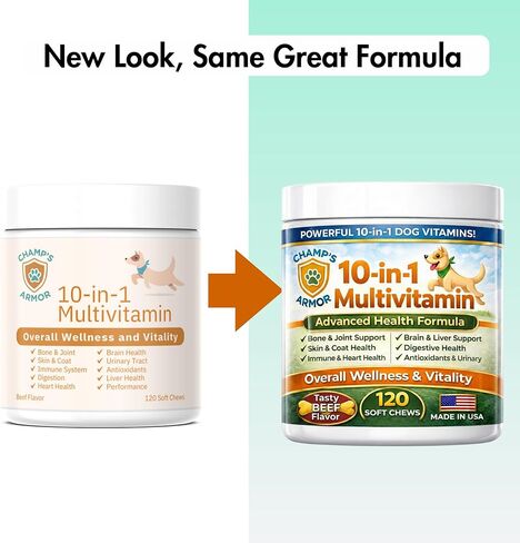 Dog Multivitamin 10-in-1 with Glucosamine - Hip Joint Support, Skin & Coat, Digestive Health, Immune Boost - Salmon Oil, Probiotics, MSM - All Natural Daily Chews for Dogs All Breeds - 120 Count in Kuwait