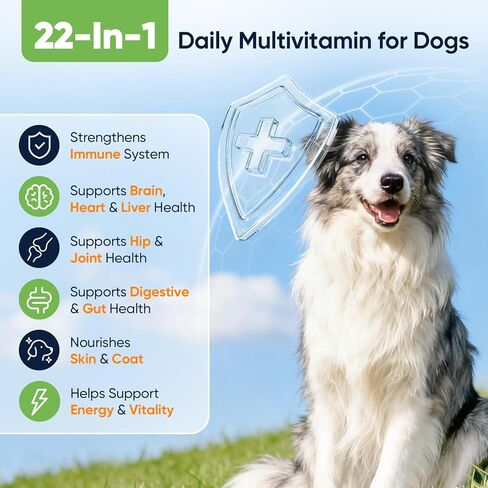 22-in-1 Dog Vitamins and Supplements 200 Chews Dog Multivitamin Chewable Containing Omega-3 Quercetin Probiotics Multivitamin for Dogs Beneficial for Joint Skin Coat Immunity Intestinal Digestion in Kuwait
