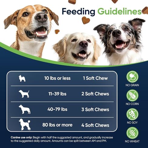 22-in-1 Dog Vitamins and Supplements 200 Chews Dog Multivitamin Chewable Containing Omega-3 Quercetin Probiotics Multivitamin for Dogs Beneficial for Joint Skin Coat Immunity Intestinal Digestion in Kuwait