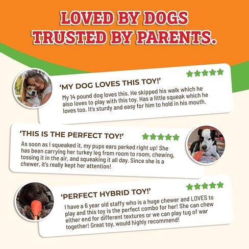 Baba Buddies Turkey Leg Dog Toy for Aggressive Chewers | 5-in-1 Natural Rubber & Nylon Hybrid | Squeaky Indestructible Chew | Real Turkey Flavor | Dental Ridges | Medium & Large Dogs in Kuwait