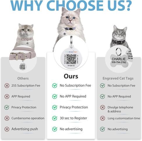 Cat Collar Breakaway with QR Code Name Tag, Reflective Kitten Collars with Bell, Cat ID Tag Personalized, Ultra-Durable, Adjustable, Quick Release, Fits Most Girl Boy Small Large Cats (8''-13.3'') in Kuwait