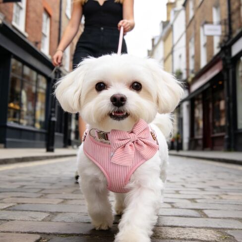 PUPTECK Dog Harness Collar and Leash Set, Adjustable No Pull Pet Vest Harness, Soft Mesh Corduroy with Cute Bow Tie, for Small Medium Dogs Puppy Outdoor Walking, Pink S in Kuwait