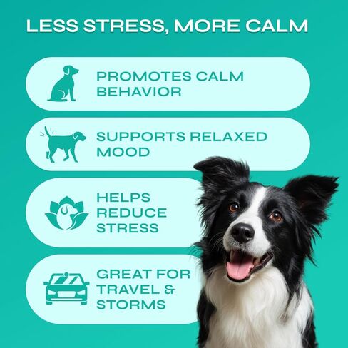 Hemp Calming Chews for Dogs - Advanced Dog Calming Chews with Organic Chamomile - Separation Aid, Barking, Stress Relief, Thunderstorms, Vet Visits - Melatonin, Hemp Oil, Vitamins - 130 Soft Treats in Kuwait