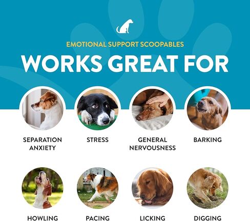 NaturVet Scoopables الدعم العاطفي للكلاب - مساعدة التهدئة اليومية تعزز السلوك الطبيعي والهادئ على مدار الساعة طوال أيام الأسبوع - بنكهة لحم الخنزير المقدد المدخن الهيكوري | حقيبة 11 أونصة in Kuwait