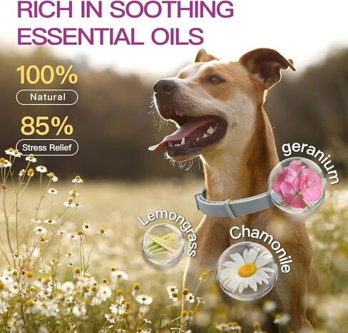 Calming Collar for Dogs 4 Packs, Dog Calming Collar, 100% Natural Essential Oil & Pheromone Formula, Reduces Anxiety & Stress for 90 Days, Waterproof Design, Long-Lasting Polymer Release Technology in Kuwait