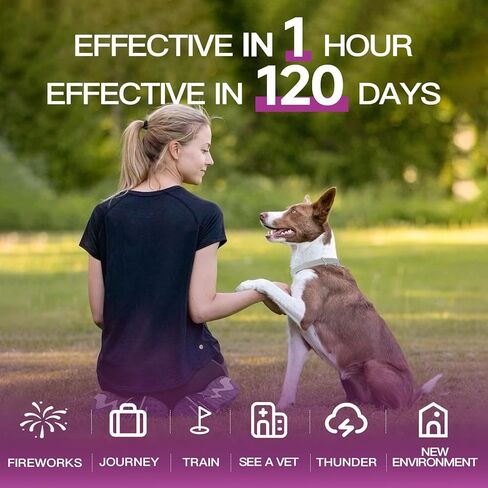 Calming Collar for Dogs 4 Packs, Dog Calming Collar, 100% Natural Essential Oil & Pheromone Formula, Reduces Anxiety & Stress for 90 Days, Waterproof Design, Long-Lasting Polymer Release Technology in Kuwait