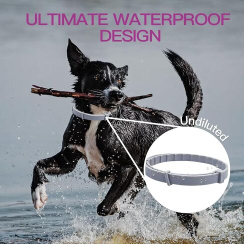 Calming Collar for Dogs 4 Packs, Dog Calming Collar, 100% Natural Essential Oil & Pheromone Formula, Reduces Anxiety & Stress for 90 Days, Waterproof Design, Long-Lasting Polymer Release Technology in Kuwait