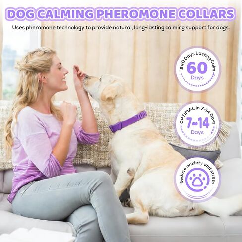 Calming Collar for Dogs 4 Pack, Purple Dog Calming Collar for Anxiety & Stress Relief, Pheromone Dog Collar for Small Medium Large Dogs, 240 Days Protection Each in Kuwait