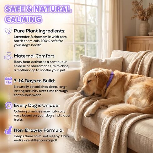 Calming Collar for Dogs 4 Pack, Purple Dog Calming Collar for Anxiety & Stress Relief, Pheromone Dog Collar for Small Medium Large Dogs, 240 Days Protection Each in Kuwait