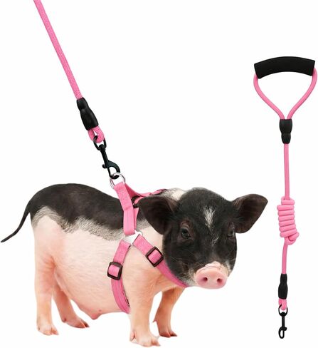 Mini Pig Harness, Adjustable Small Pig Harness with Leash Infinity Style Lead and Soft Foam Handle for Small to Medium Pet Pigs Walking Training Jogging (Pink, S) in Kuwait