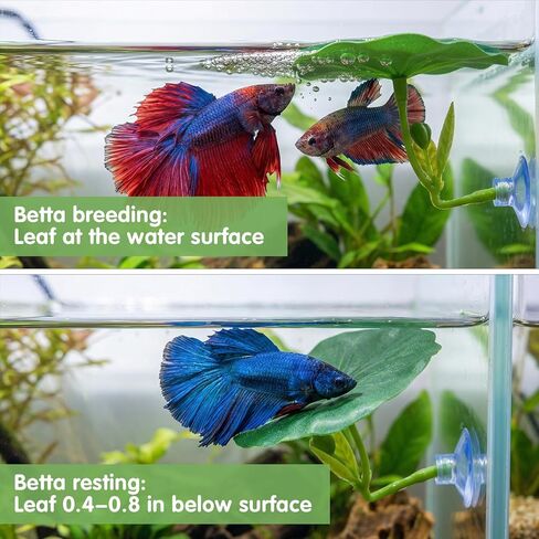4 Pack Betta Fish Hammock Plant Leaf Pad, Improves Betta Health by Simulating The Natural Habitat, Fish Spawning Grounds Breeding Resting Bed, Fishes Tank Accessories Aquarium Décor in Kuwait
