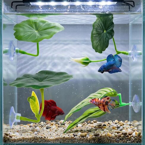 4 Pack Betta Fish Hammock Plant Leaf Pad, Improves Betta Health by Simulating The Natural Habitat, Fish Spawning Grounds Breeding Resting Bed, Fishes Tank Accessories Aquarium Décor in Kuwait