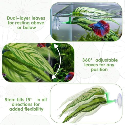 4 Pack Betta Fish Hammock Plant Leaf Pad, Improves Betta Health by Simulating The Natural Habitat, Fish Spawning Grounds Breeding Resting Bed, Fishes Tank Accessories Aquarium Décor in Kuwait