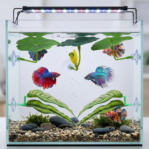 4 Pack Betta Fish Hammock Plant Leaf Pad, Improves Betta Health by Simulating The Natural Habitat, Fish Spawning Grounds Breeding Resting Bed, Fishes Tank Accessories Aquarium Décor in Kuwait