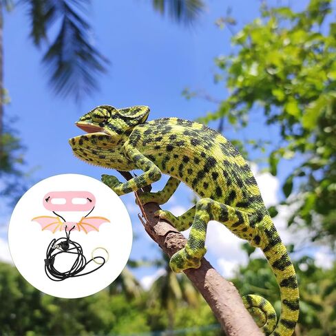 Homoyoyo 5 Pieces Adjustable Reptile Harness Leash Set with Colorful Wings for Small Lizards Gecko Bearded Dragon Outdoor Walking Pet Supplies in Kuwait