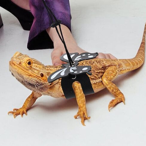Toddmomy Adjustable Dark Harness Leash with Wing Pattern for Outdoor Use, Gecko Traction Rope Reptile Supply Suitable for Bearded Dragons and Small Crawling Pets in Kuwait