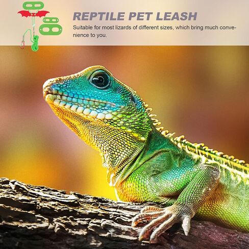 SEWACC Christmas Harness Leash Set with Wings Traction Rope for Outdoor Reptile Walking and Bearded Dragon Use in Kuwait