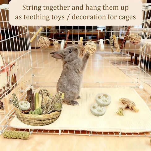 Hamiledyi 40PCS Rabbit Chew Toys Guinea Pig Treats Chews for Teeth Natural Bunny Enrichment Toys Cage Accessories for Hamster Chinchilla Squirrel Gerbils Rabbit Guinea Pig Cavy in Kuwait