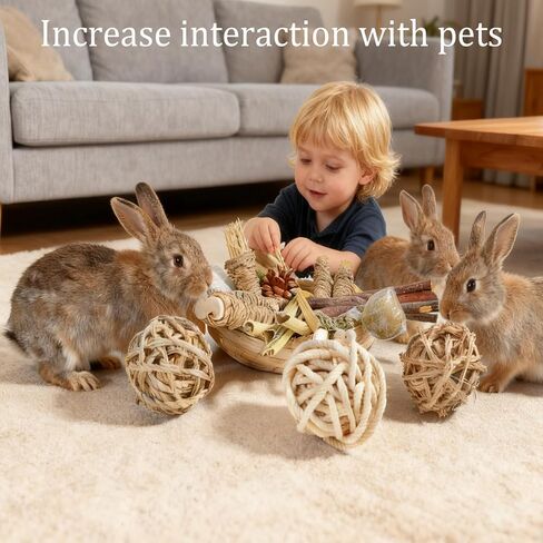 Hamiledyi 40PCS Rabbit Chew Toys Guinea Pig Treats Chews for Teeth Natural Bunny Enrichment Toys Cage Accessories for Hamster Chinchilla Squirrel Gerbils Rabbit Guinea Pig Cavy in Kuwait